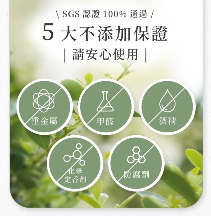 Vorfur薄荷口罩香氛精油 專注醒腦好幫手 10入分享組：圖片 4