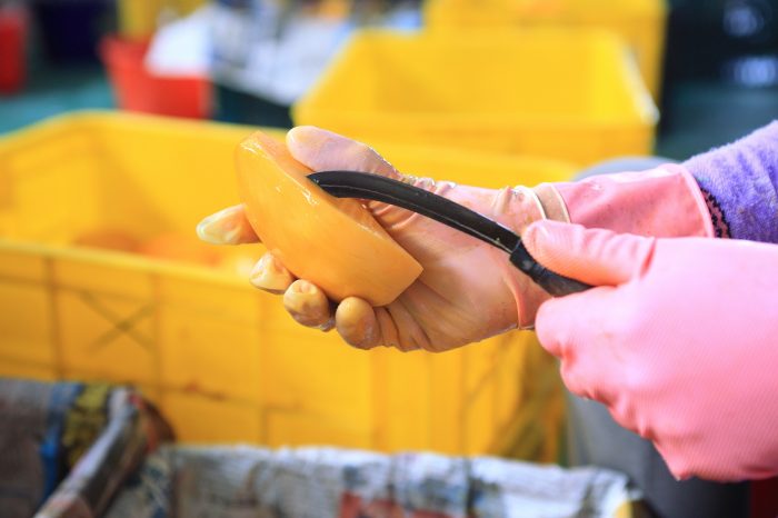 【蜜旺果舖】特選愛文芒果乾 3入組：圖片 4