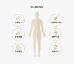 【小先草本】享受油軟膠囊|盒裝共30顆:圖片 7