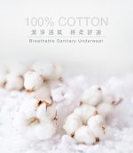 【蓓比適-清秀佳人】100%純棉透氣舒適 女性三角免洗內褲L(5件/包x12入)：圖片 3