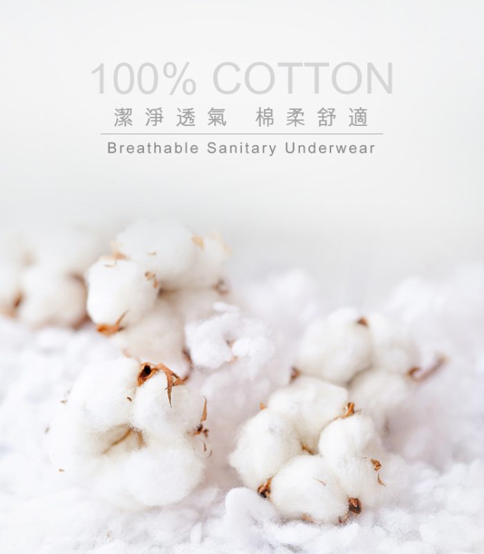 【蓓比適-清秀佳人】100%純棉透氣舒適 女性三角免洗內褲L(5件/包x12入)：圖片 3