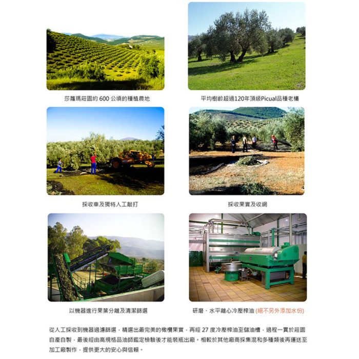 【智慧誠選】莎蘿瑪油好醋組合(有機冷壓初榨橄欖油250mlx2瓶+紅巴薩米克醋250ml/瓶)：圖片 5