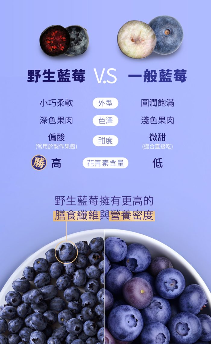 【智慧誠選】野生藍莓原漿精華飲(350毫升/瓶)二入組：圖片 4