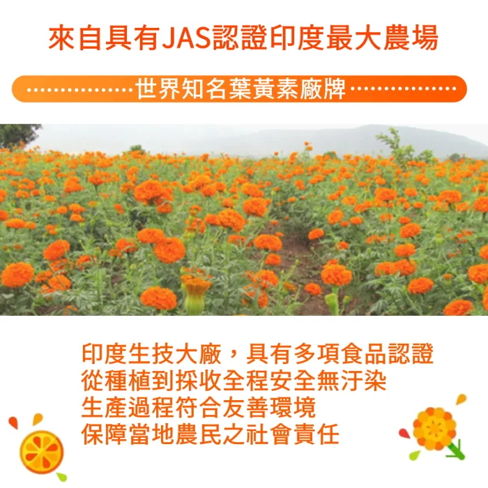 【YT-Vita 永騰生技】 日日晶金盞花Q軟糖 四入(15小包/袋)：圖片 4