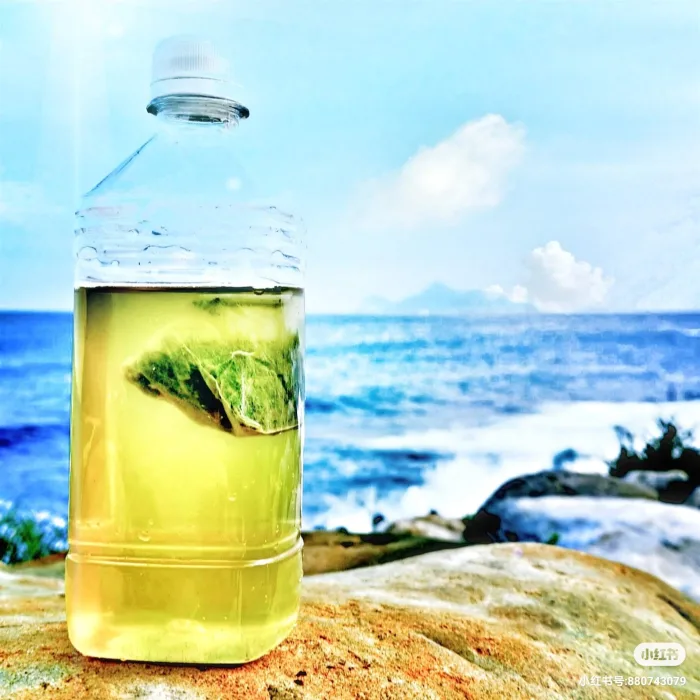 【鹿苑茶】四季茶香--立體茶包(日本無毒 環保玉米纖維) 三種風味(50入/環保袋裝)-冷泡熱泡都適合：圖片 6