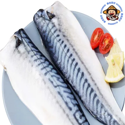 【漁市囝仔OCEANKID】挪威薄鹽鯖魚片(免運) 10片/組 ★超值熱賣明星商品★
