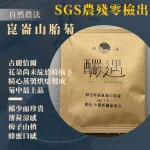 【釅韻逸品】野生新疆崑崙山胎菊茶包(1g/1入)買10送1組一共11入