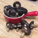 香菇脆片