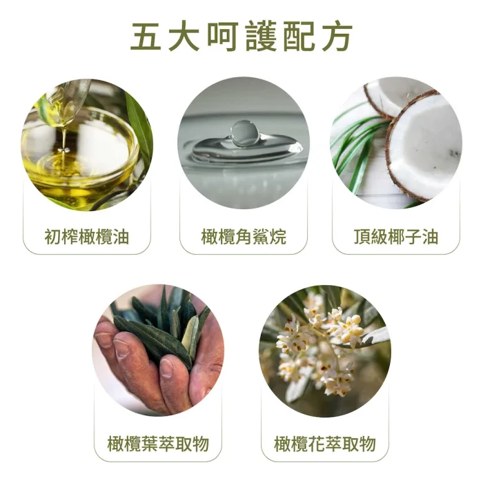 【一顆橄欖】橄欖頂級呵護液皂1000ml 補充瓶：圖片 2