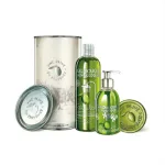 【一顆橄欖】畢修林洗沐皂三件禮桶組 法國原裝