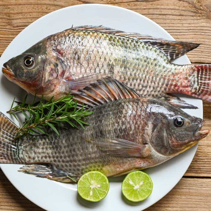 【五朝港水產】大尾英勇台灣鯛-勇者的選擇 五入組 用武力打敗困難 已三去 (480克±10%/隻 ) 共(2400克±10%/5隻)：圖片 4