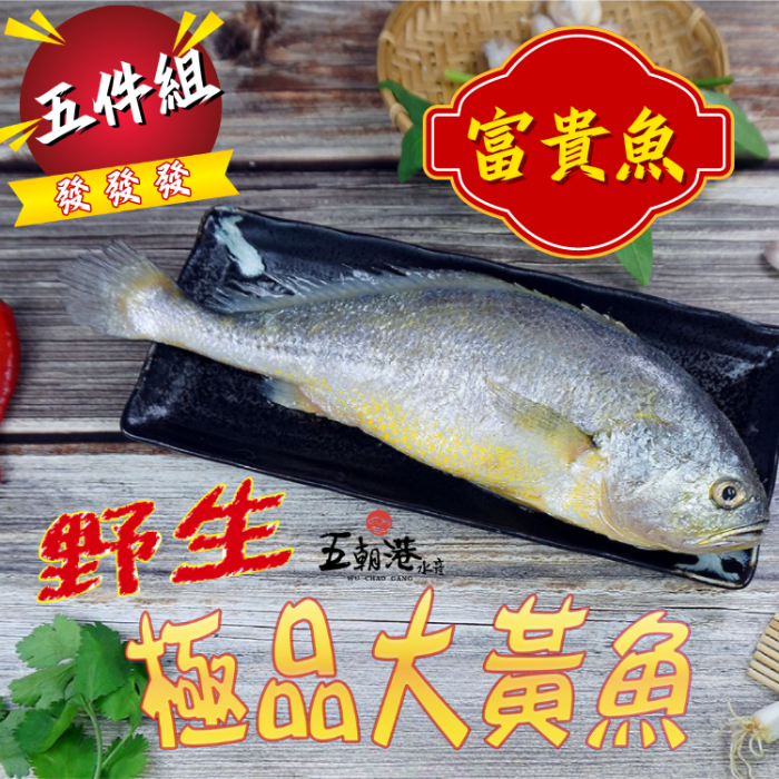 【五朝港水產】野生極品大黃魚-黃魚迎財富貴包(1250克±10%/5隻/包)已三去(去鱗、去鰓、去肚、輕鬆料理)：圖片 1