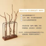 金門一條根介紹