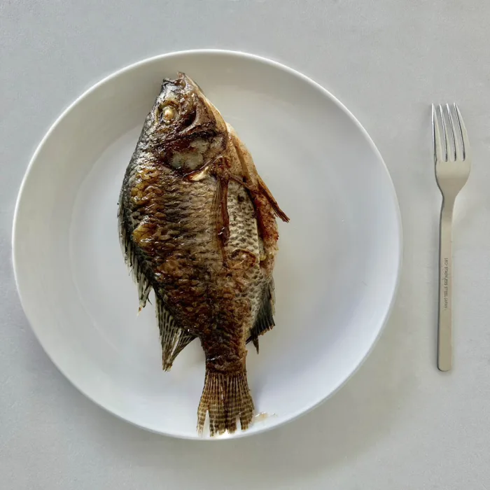 【五朝港水產】大尾英勇台灣鯛-勇者的選擇 五入組 用武力打敗困難 已三去 (480克±10%/隻 ) 共(2400克±10%/5隻)：圖片 5