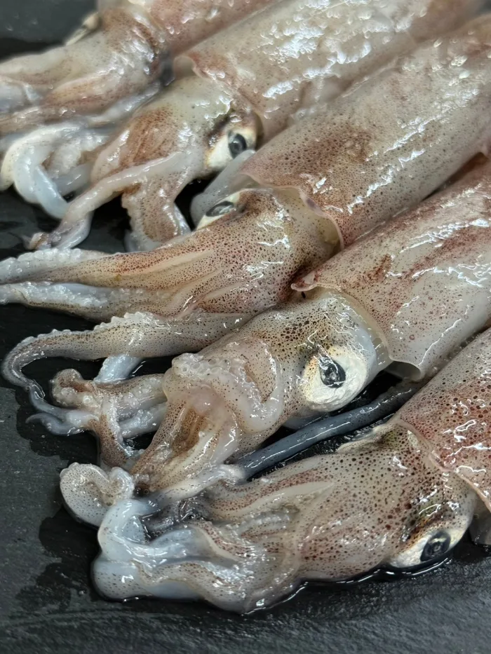 【五朝港水產】龍年澎拜中秋饗宴-十全十美套餐 (3850克±10%/10件)約5~7人份：圖片 7