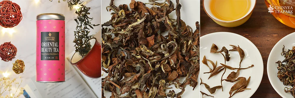 沁意茶苑-東方美人茶 沁意茶苑-東方美人茶