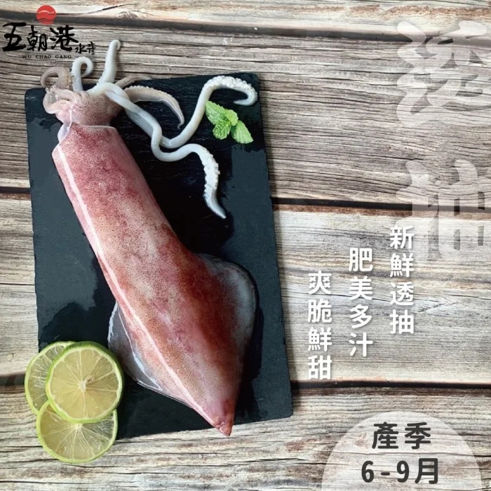 【五朝港水產】 月耀海鮮盛宴 老饕專饗 約3~5人份 頂級6件健康套餐(2140克±10%) 台大員生專饗優惠價：圖片 3