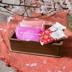 【手半屋】福引轉輪DIY模型禮盒：圖片 2