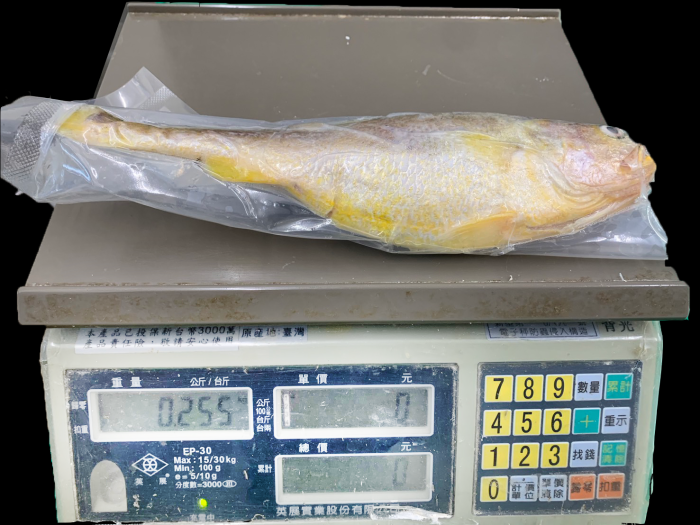 【五朝港水產】野生極品大黃魚-黃魚迎財富貴包(1250克±10%/5隻/包)已三去(去鱗、去鰓、去肚、輕鬆料理)：圖片 2