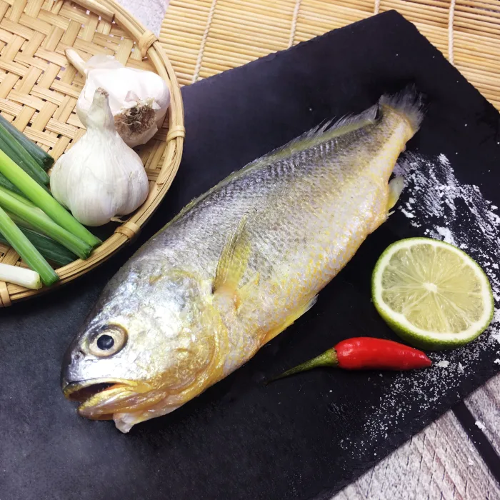 【五朝港水產】野生極品大黃魚-黃魚迎財富貴包(1250克±10%/5隻/包)已三去(去鱗、去鰓、去肚、輕鬆料理)：圖片 4