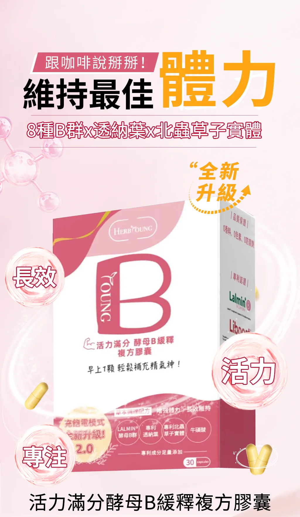 維持最佳體力的酵母B群