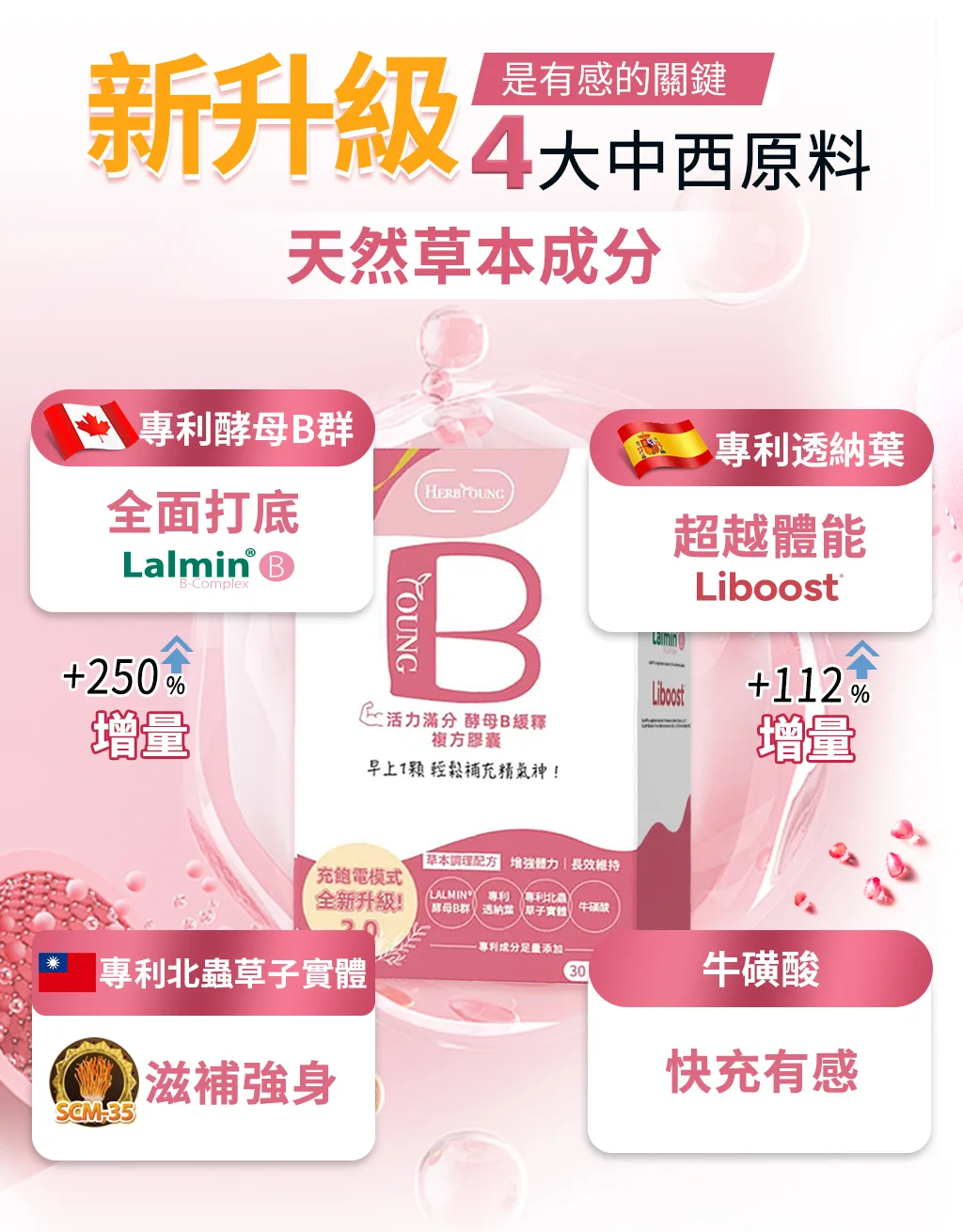 活力滿分2.0酵母B升級成分，天然草本配方