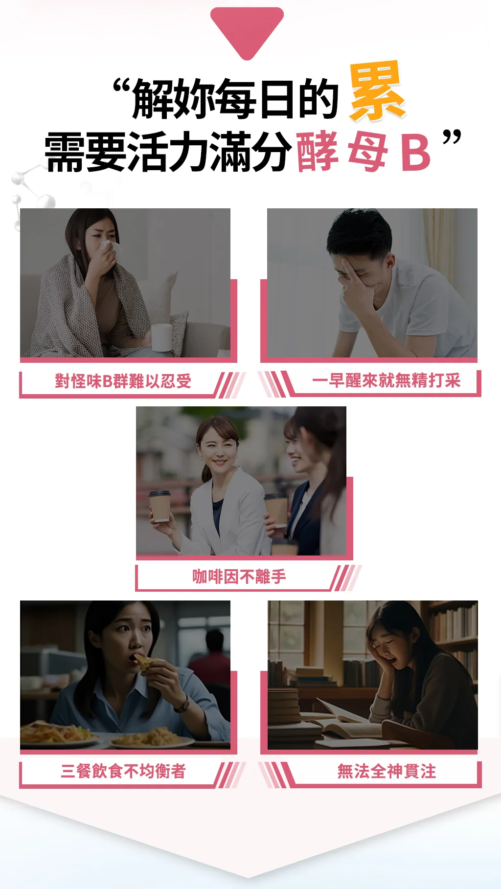 活力滿分2.0酵母B適合這些人，容易疲勞、愛喝咖啡提神