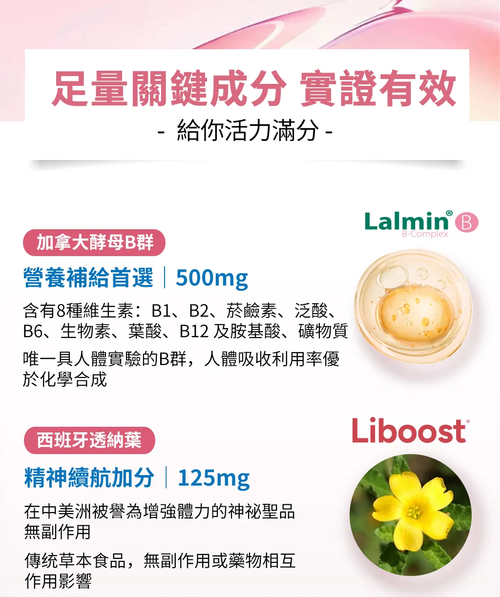 活力滿分2.0酵母B群以及透納葉