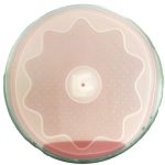 【Le Casserole】3D立體抗菌矽膠保鮮膜（14cm*1)_1入_台灣製_5色可選