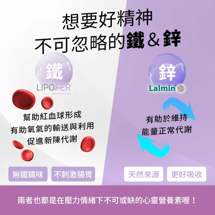 【德創生技】酵母B群膠囊 食物型態好吸收 不臭的B群(60顆/瓶)：圖片 7