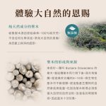 【談香】秘魯聖木精裝禮盒 伴手禮 生活香氛 幫助睡眠：圖片 4