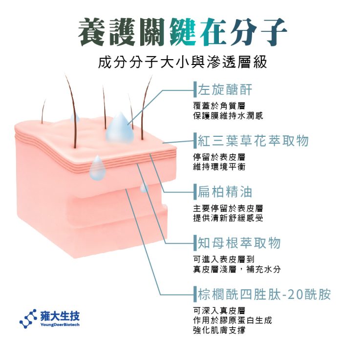 【雍大生技】神秘法的森｜打造清爽頭皮環境：圖片 6