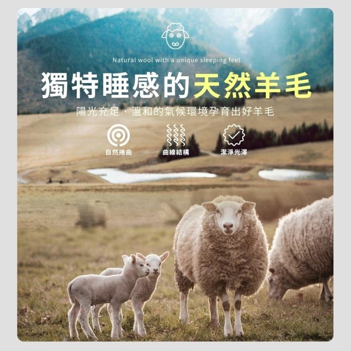 【美思夢生活館】石墨烯羊毛被 6x7尺(1入)：圖片 4