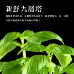 【胖大師】法國麵包綜合口味-法式塔香蕃茄/法式香蔥起士雞X12入(150g/1入)：圖片 3