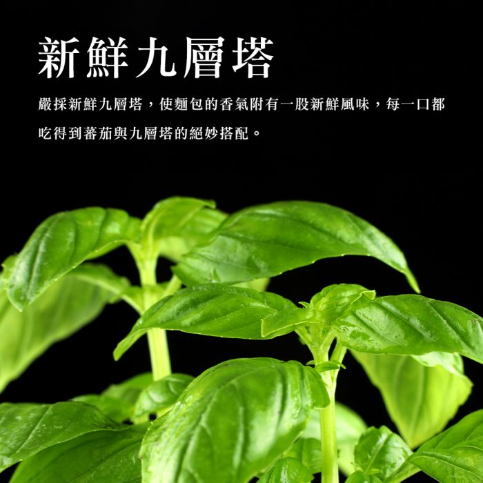 【胖大師】法國麵包綜合口味-法式塔香蕃茄/法式香蔥起士雞X12入(150g/1入)：圖片 3