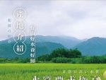 【菊頌坊】龍饌御膳★鱘龍魚料理五入組:圖片 7