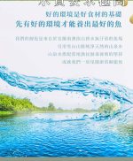 【菊頌坊】龍饌御膳★鱘龍魚料理五入組:圖片 8