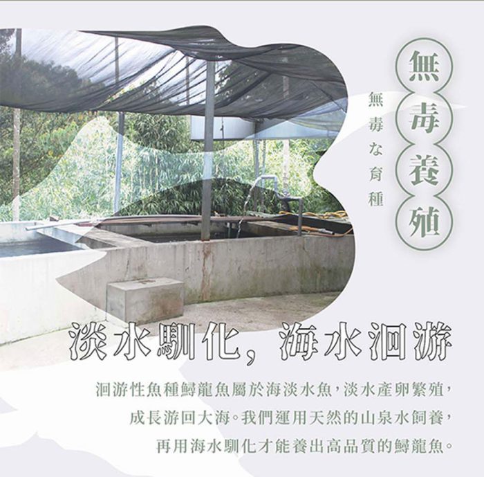 綜合_08 【菊頌坊】龍饌御膳★鱘龍魚料理五入組:圖片 10