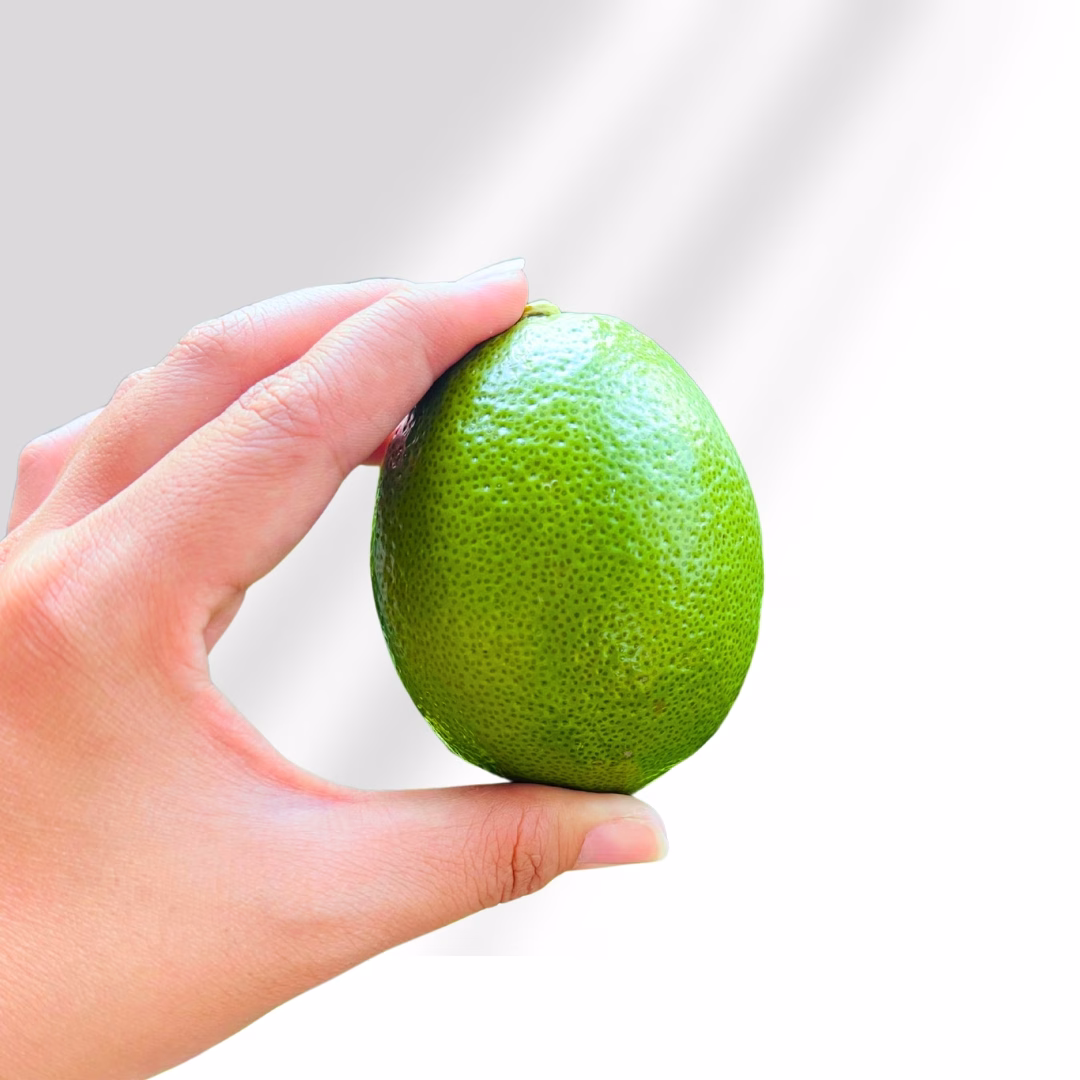 【花米邸家】小農直銷・有籽檸檬・A級檸檬・5斤/箱・屏東嚴選：圖片 1