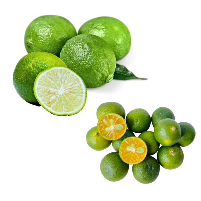 【花米邸家】小農直銷・A級金桔檸檬・5斤/箱・屏東嚴選：圖片 1