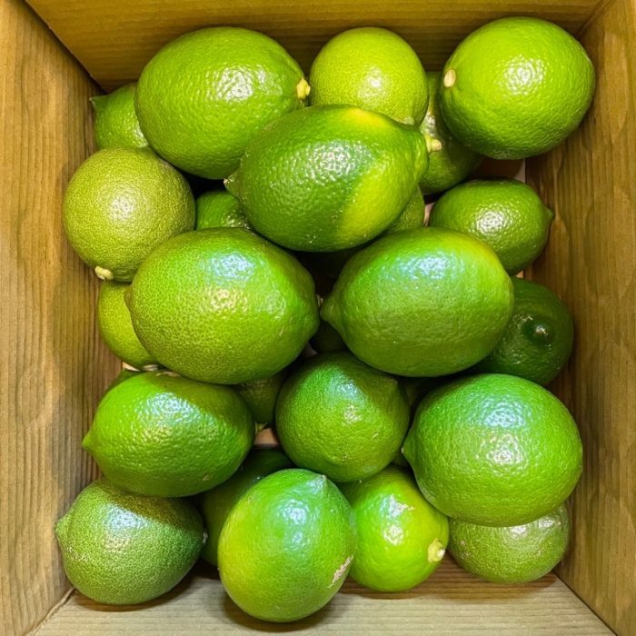 【花米邸家】小農直銷・有籽檸檬・A級檸檬・5斤/箱・屏東嚴選：圖片 3