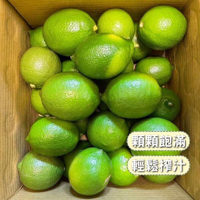 【花米邸家】小農直銷・A級金桔檸檬・5斤/箱・屏東嚴選：圖片 6