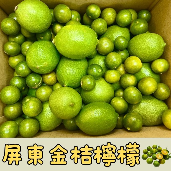 【花米邸家】小農直銷・A級金桔檸檬・5斤/箱・屏東嚴選：圖片 2