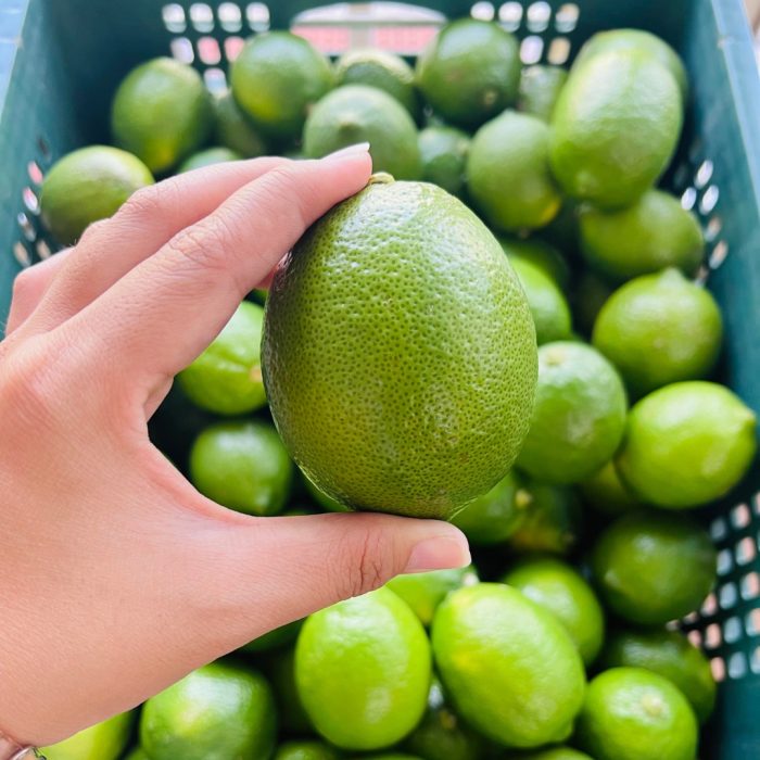 【花米邸家】小農直銷・有籽檸檬・A級檸檬・5斤/箱・屏東嚴選：圖片 5