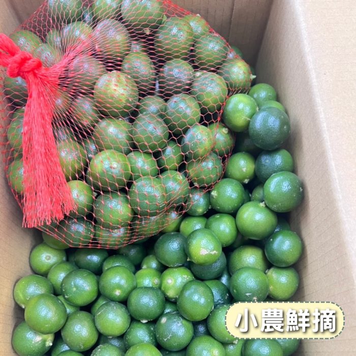 【花米邸家】小農直銷・四季金桔・A級金桔・5斤/箱・屏東嚴選：圖片 3