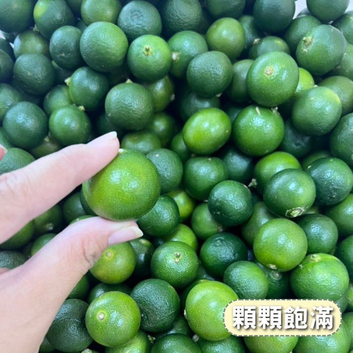 【花米邸家】小農直銷・四季金桔・A級金桔・5斤/箱・屏東嚴選：圖片 4