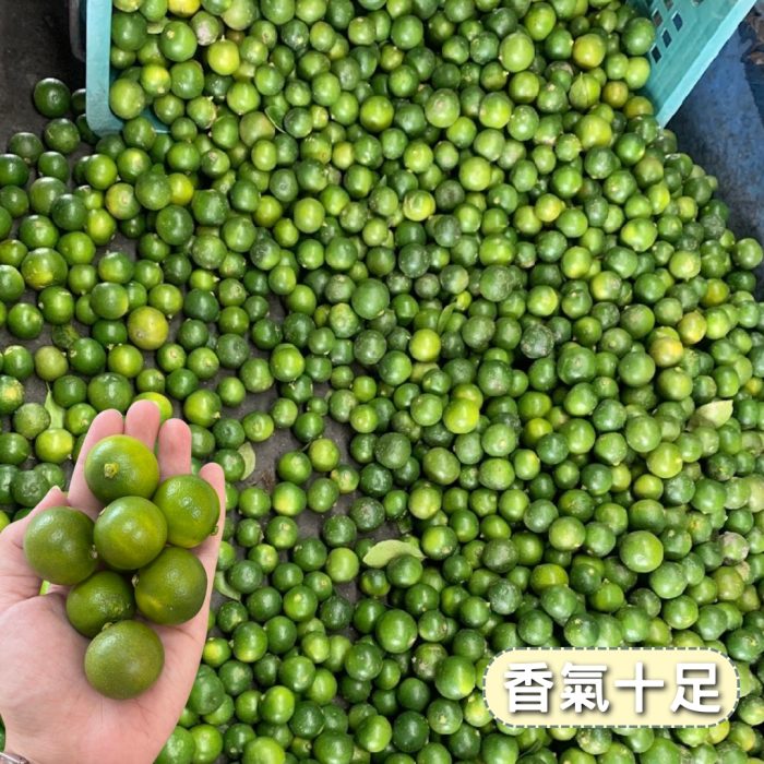 【花米邸家】小農直銷・四季金桔・A級金桔・5斤/箱・屏東嚴選：圖片 5