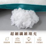 【純好眠】舒適護頸反牽引枕芯 (二入組)：圖片 7