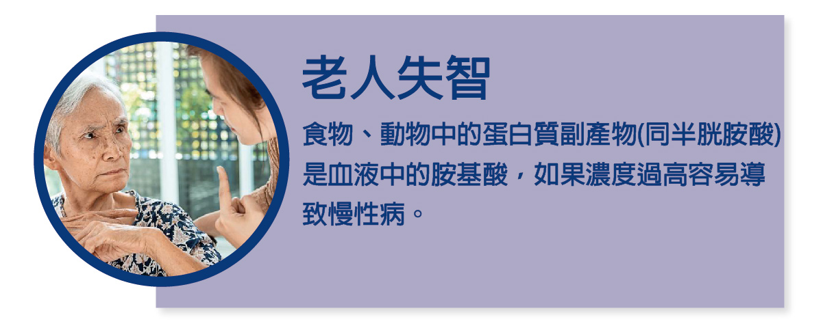 InMARCH茵瑪奇-天然輔酶型B群(60顆/瓶)