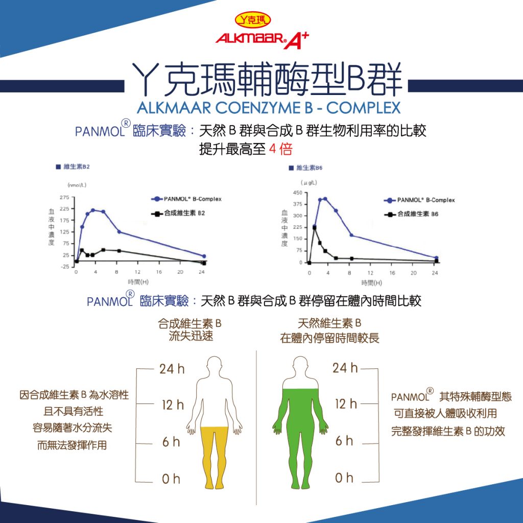 InMARCH茵瑪奇-天然輔酶型B群(60顆/瓶)